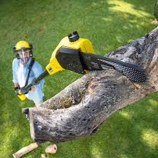 Best Pest Control for Lawns  in Prairie Ridge, WA