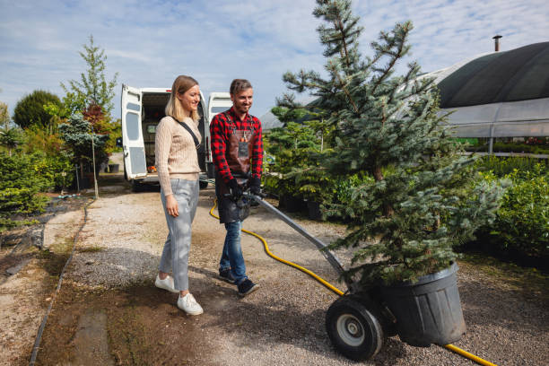 Best Lawn Renovation and Restoration  in Prairie Ridge, WA
